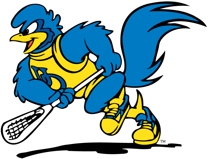 delaware blue hens 1993-pres mascot logo v4 diy iron on heat transfer